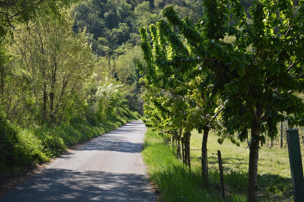 Agriturismo Borgo Valfredda Villa Mezzane di Sotto Eksteriør billede